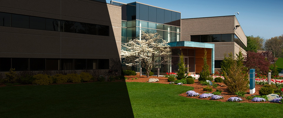 Camden Wyoming Landscapers