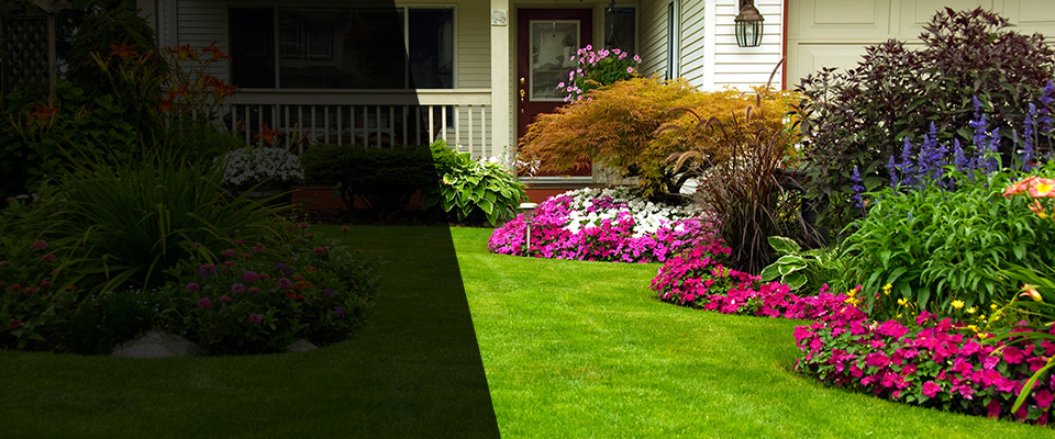Camden Wyoming Landscapers