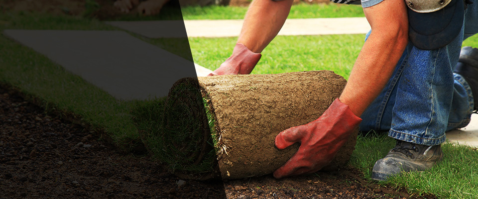 Camden Wyoming Landscapers